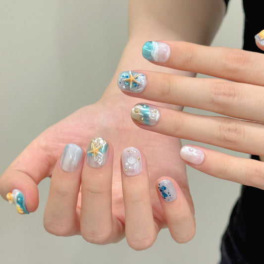 Shells and beach